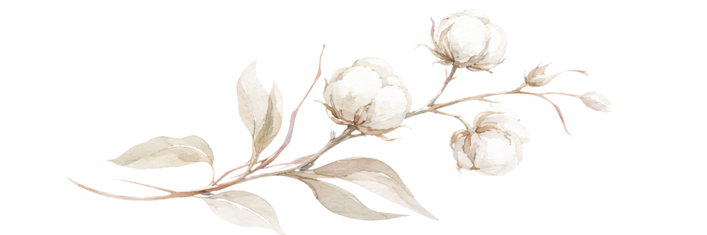 urgent-harvest-cotton-transparent